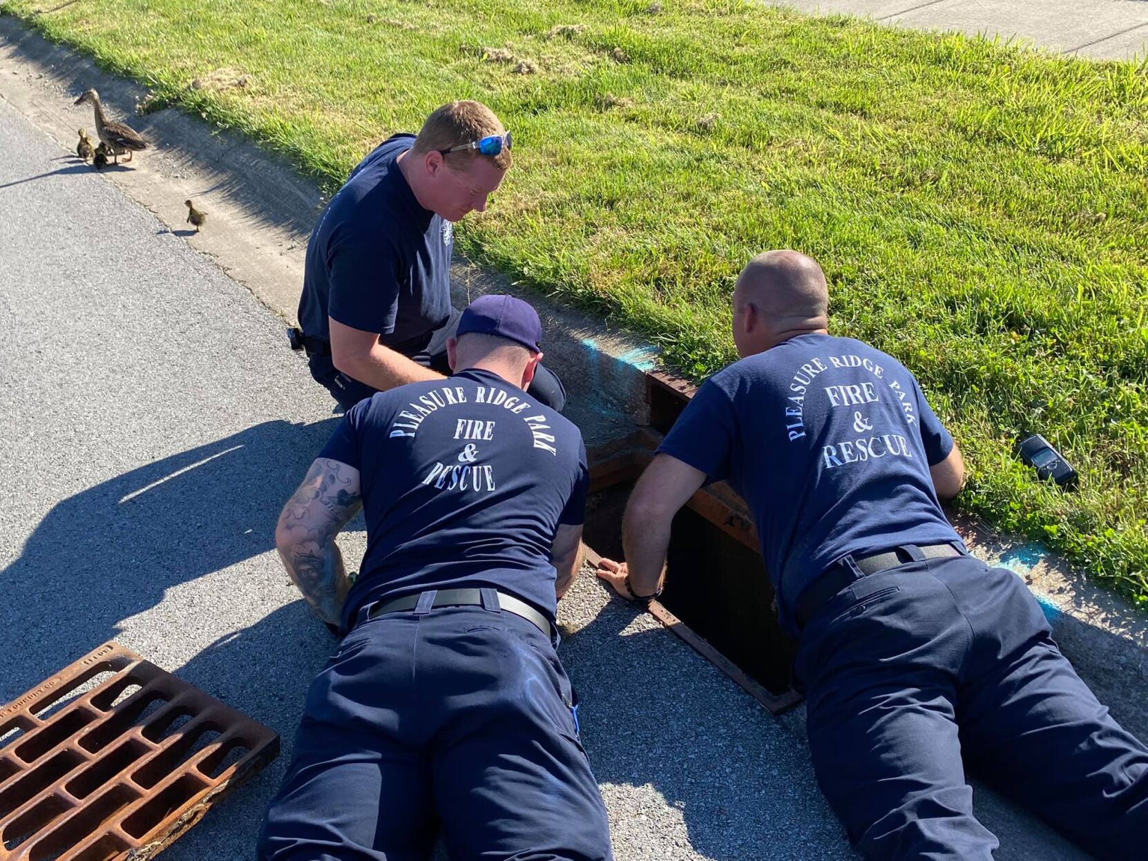 Ducks rescued by PRP firefighters on June 16, 2021